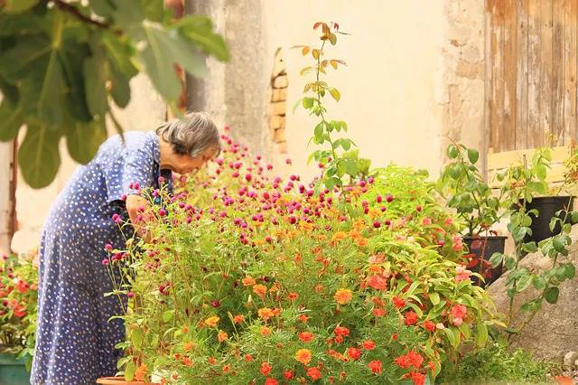 senior gardening / med alert